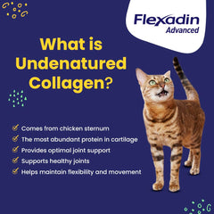 Étiquette Flexadin Avancé et notice, guide clair d'utilisation vétérinaire.