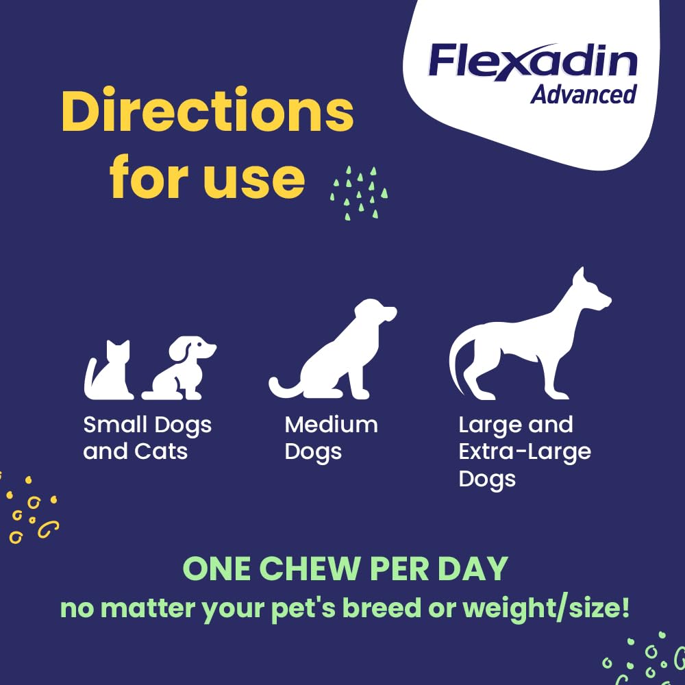 Chien acceptant la friandise Flexadin Avancé.