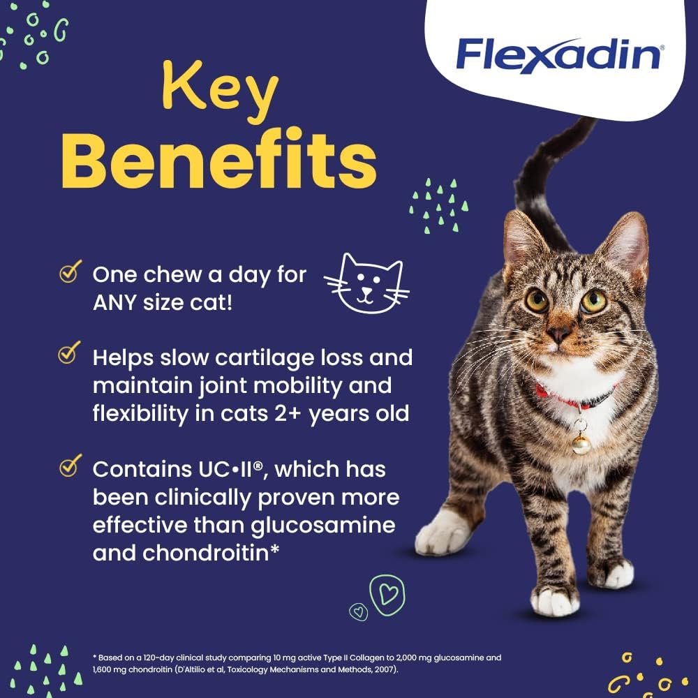 Ingrédients UC-II dans Flexadin Cat, soutien potentiel des articulations.
