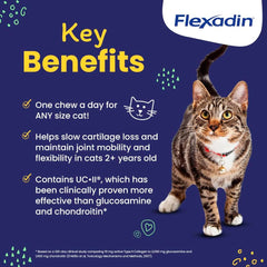 Ingrédients UC-II dans Flexadin Cat, soutien potentiel des articulations.