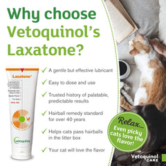 Saveur érable qui plaît au chat et soutient l'hygiène digestive.