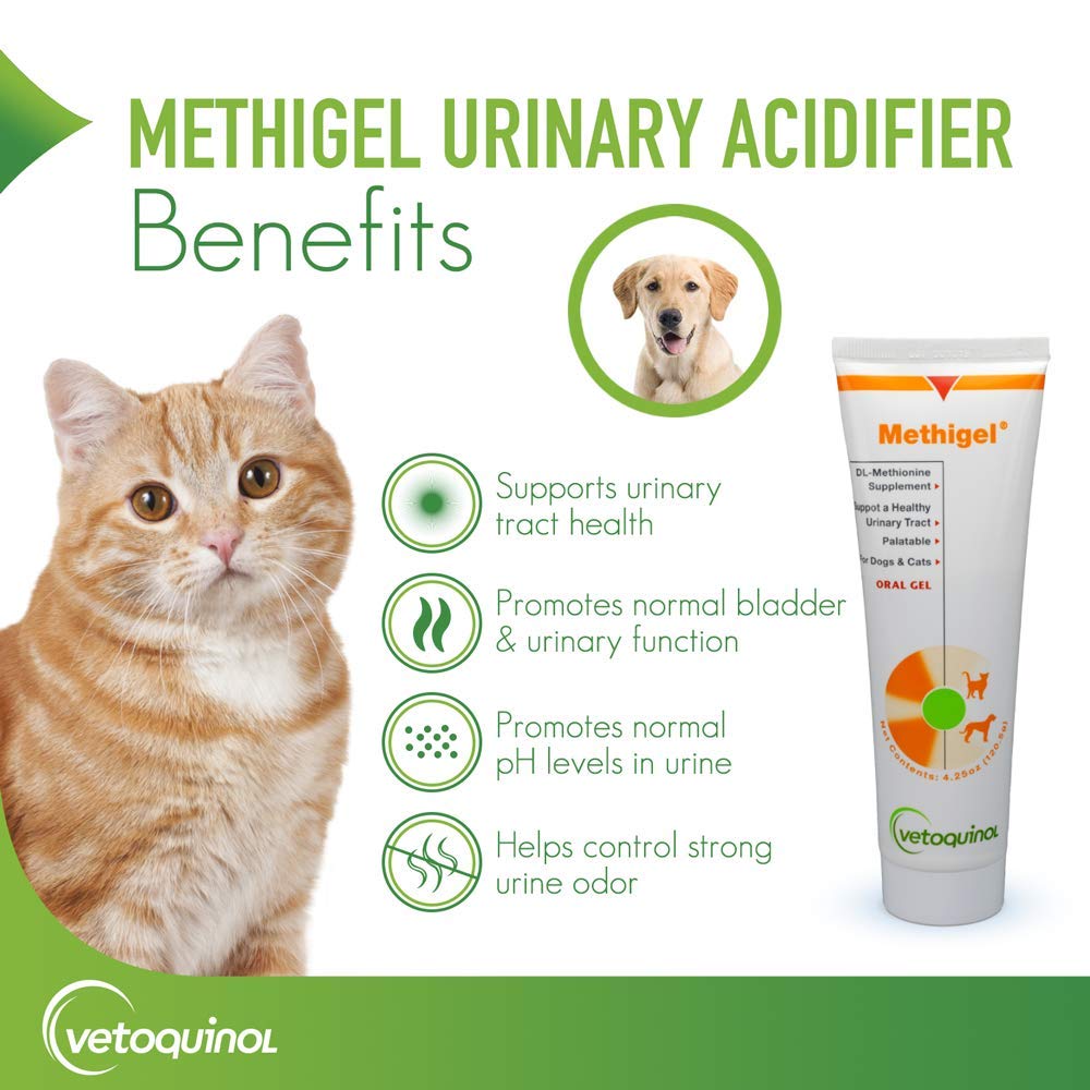 Vetoquinol Methigel flacon gel oral, administration facile pour chiens et chats.