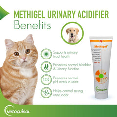 Vetoquinol Methigel flacon gel oral, administration facile pour chiens et chats.