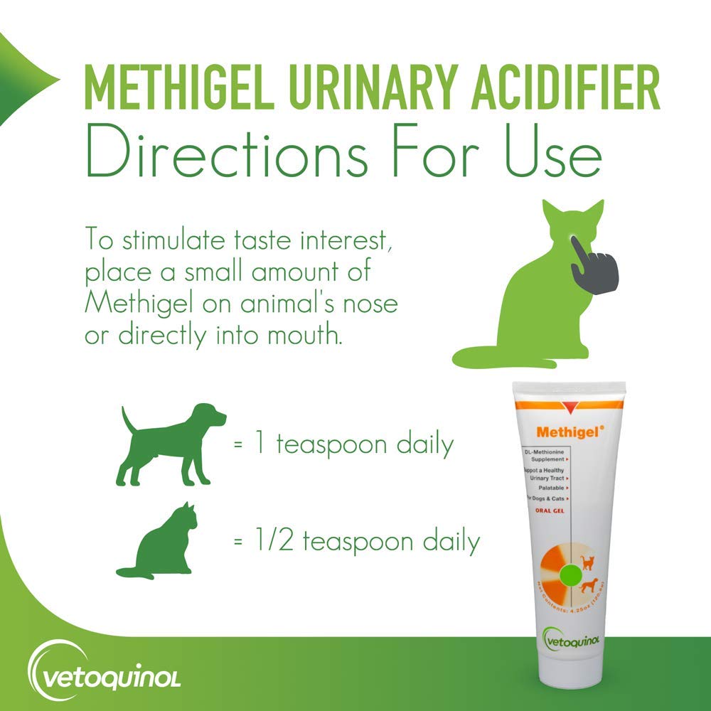 Vetoquinol Methigel format compact, pratique en voyage.