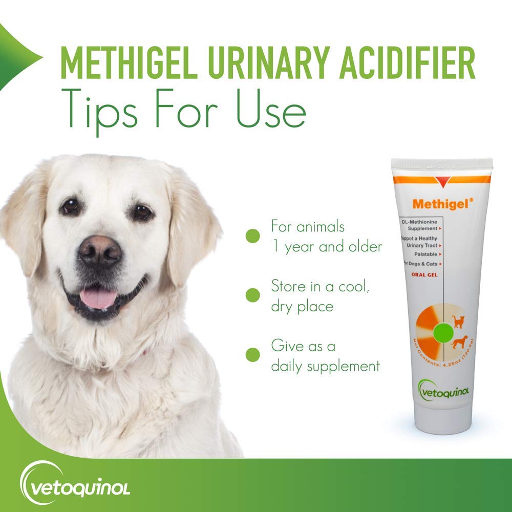Vetoquinol Methigel contribue potentiellement à la santé urinaire chez chiens et chats.