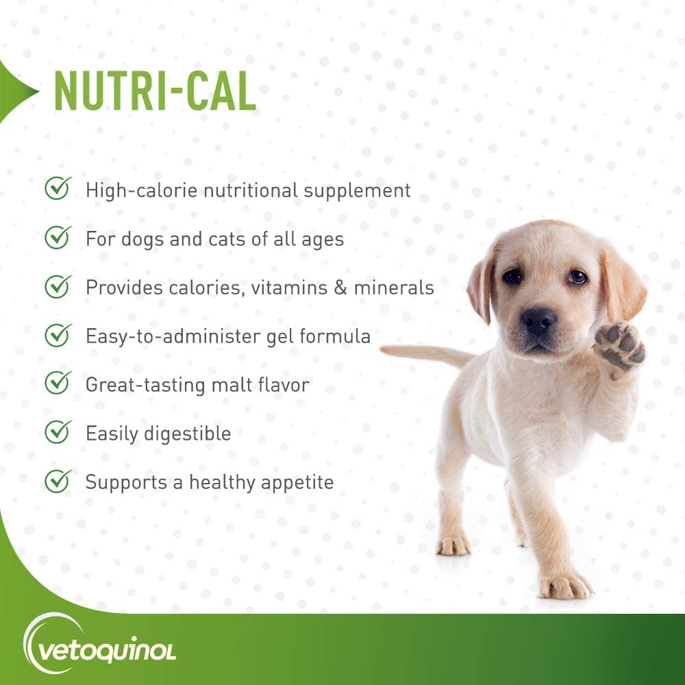 Nutri-Cal gel appétit stimulant pour chiens et chats