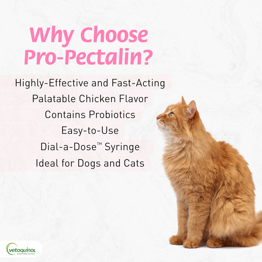 Vetoquinol Pro-Pectalin application-chat, usage possible chez le chat.