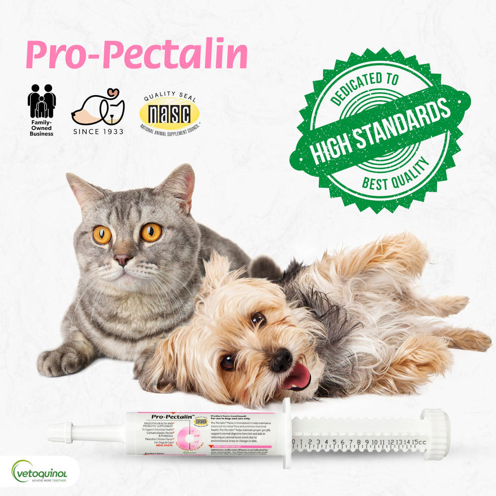 Vetoquinol Pro-Pectalin bien-etre-intestinal, évoque un confort potentiel après changement de régime.