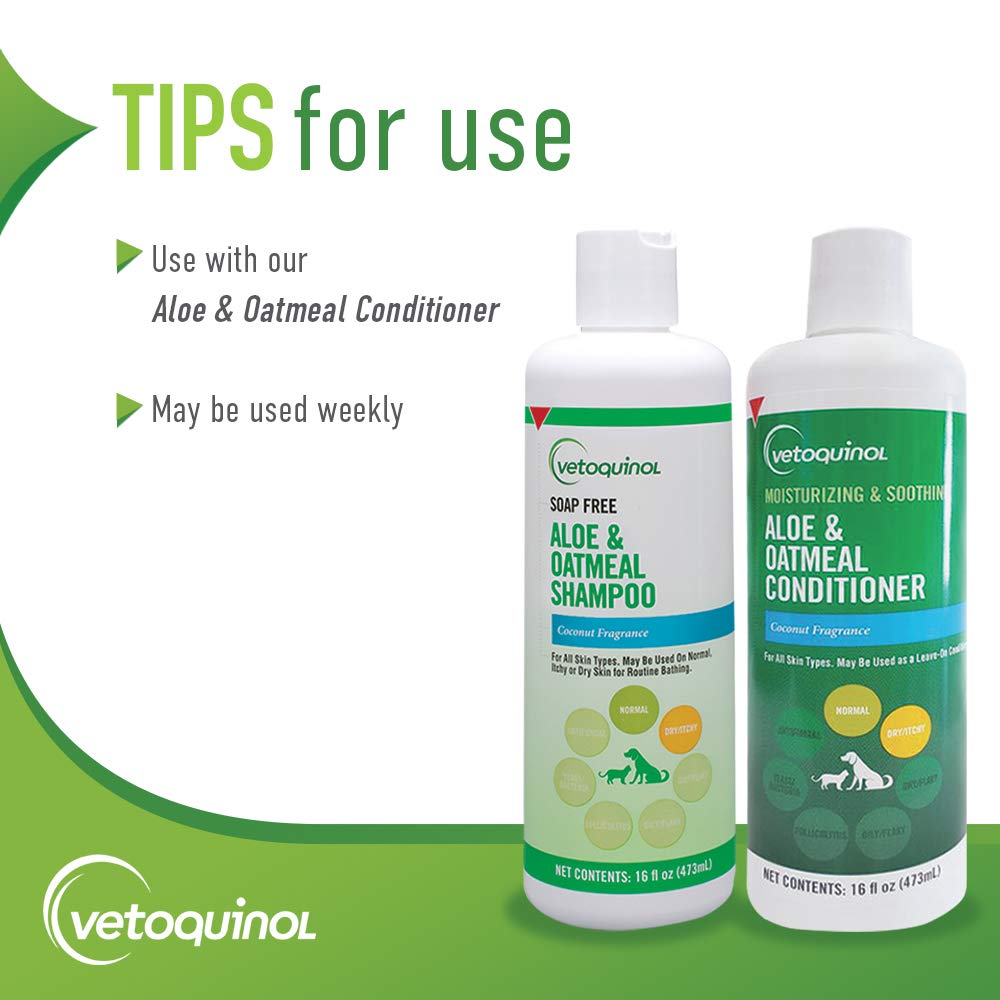 Application du Shampoing Vetoquinol Aloe et Avoine sur pelage humide, rinçage facile.