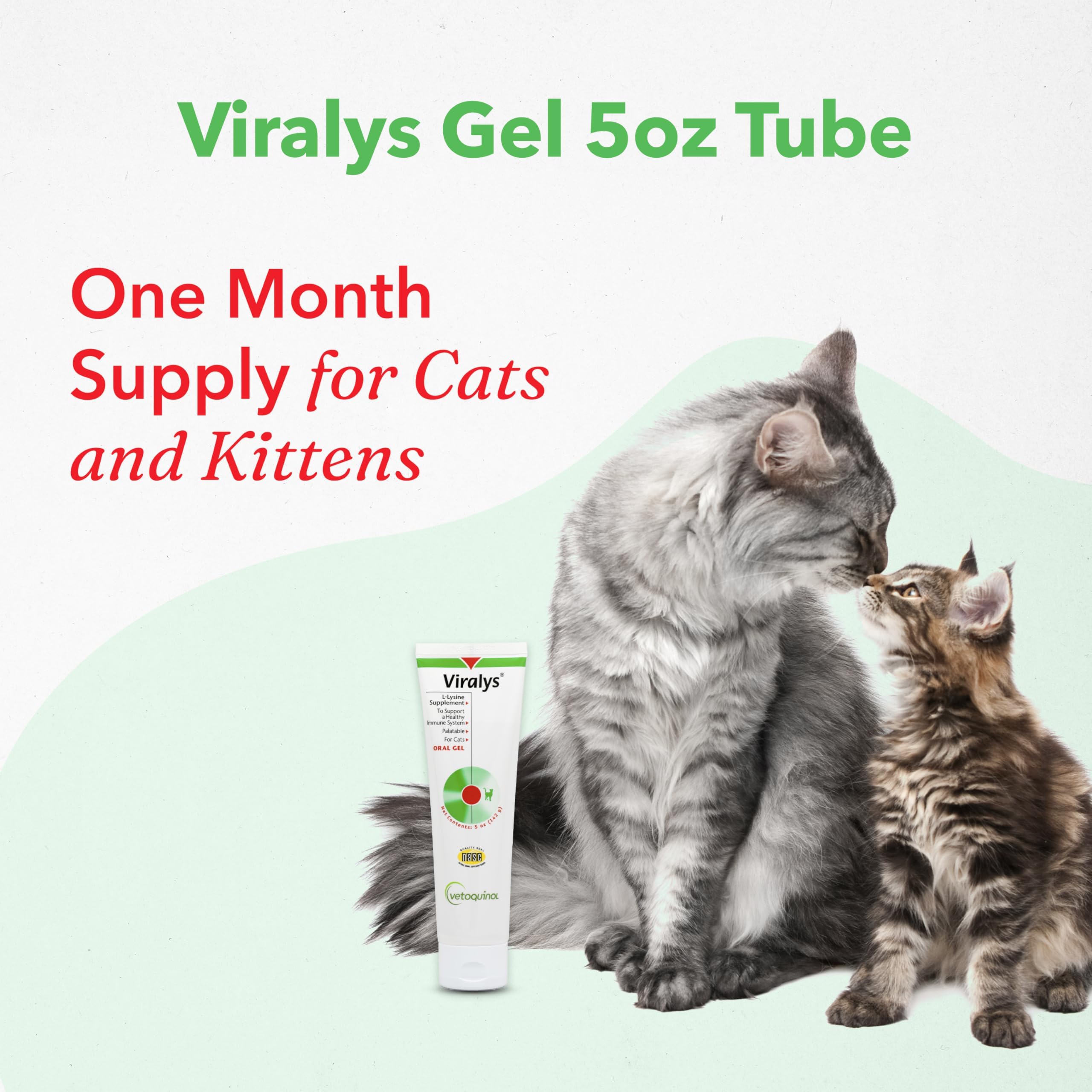 Vetoquinol Viralys, dose 500 mg lysine pour chats, administration facile