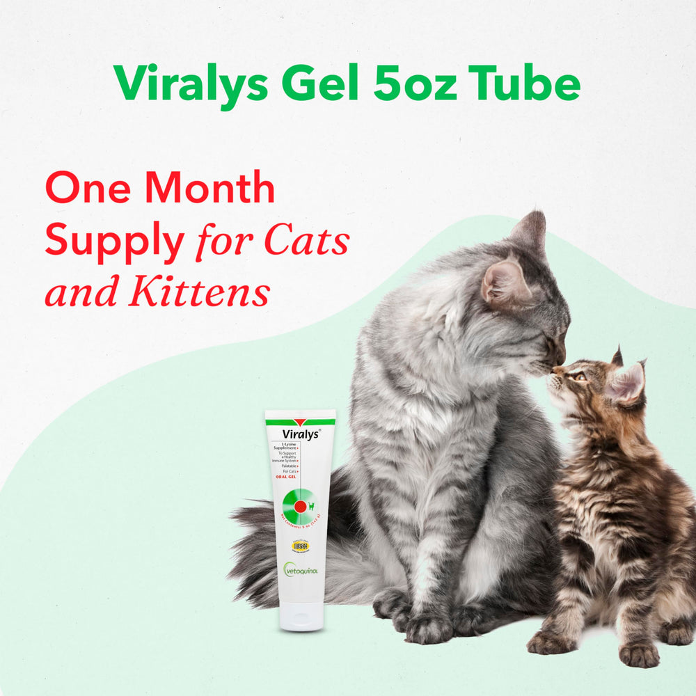 Vetoquinol Viralys, dose 500 mg lysine pour chats, administration facile