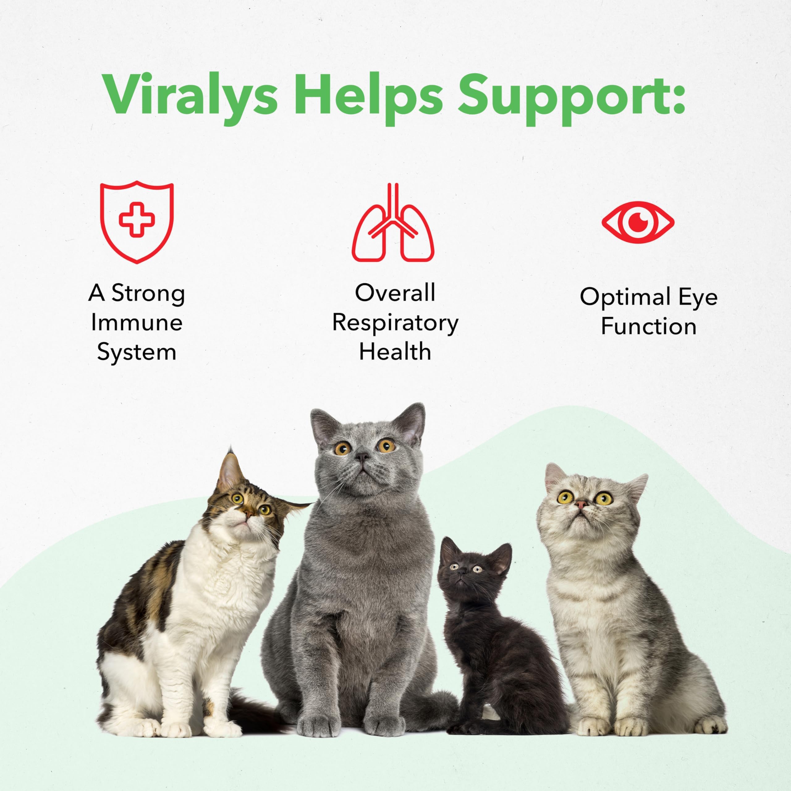 Vetoquinol Viralys, emballage 5 oz, contenu pratique pour l’entretien