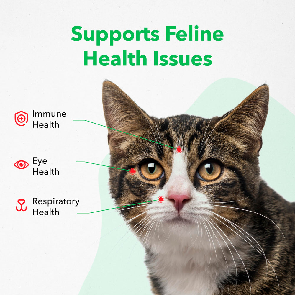 Saveur poisson-poulet de Viralys, Lysine, soutien potentiel pour la vitalité du chat.