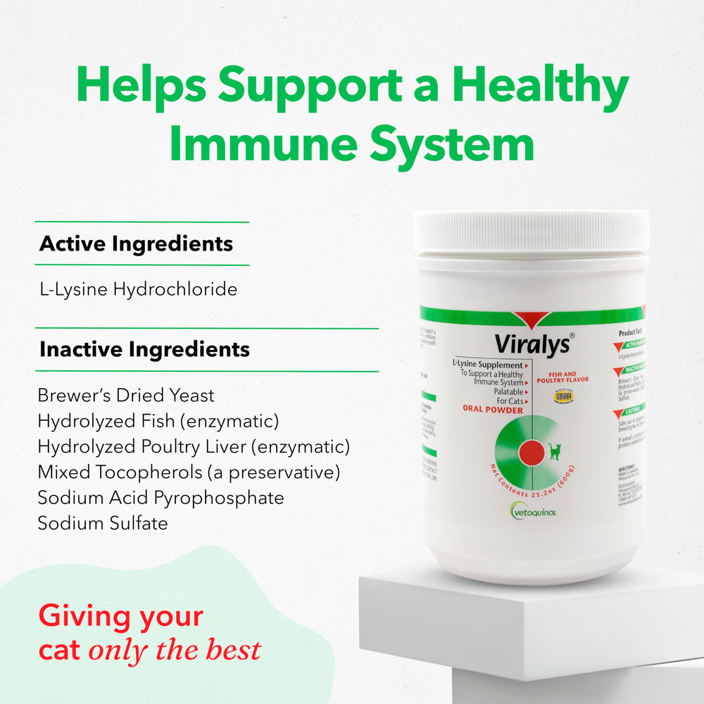 Vetoquinol Viralys, poudre Lysine, administration simple dans le repas quotidien du chat.