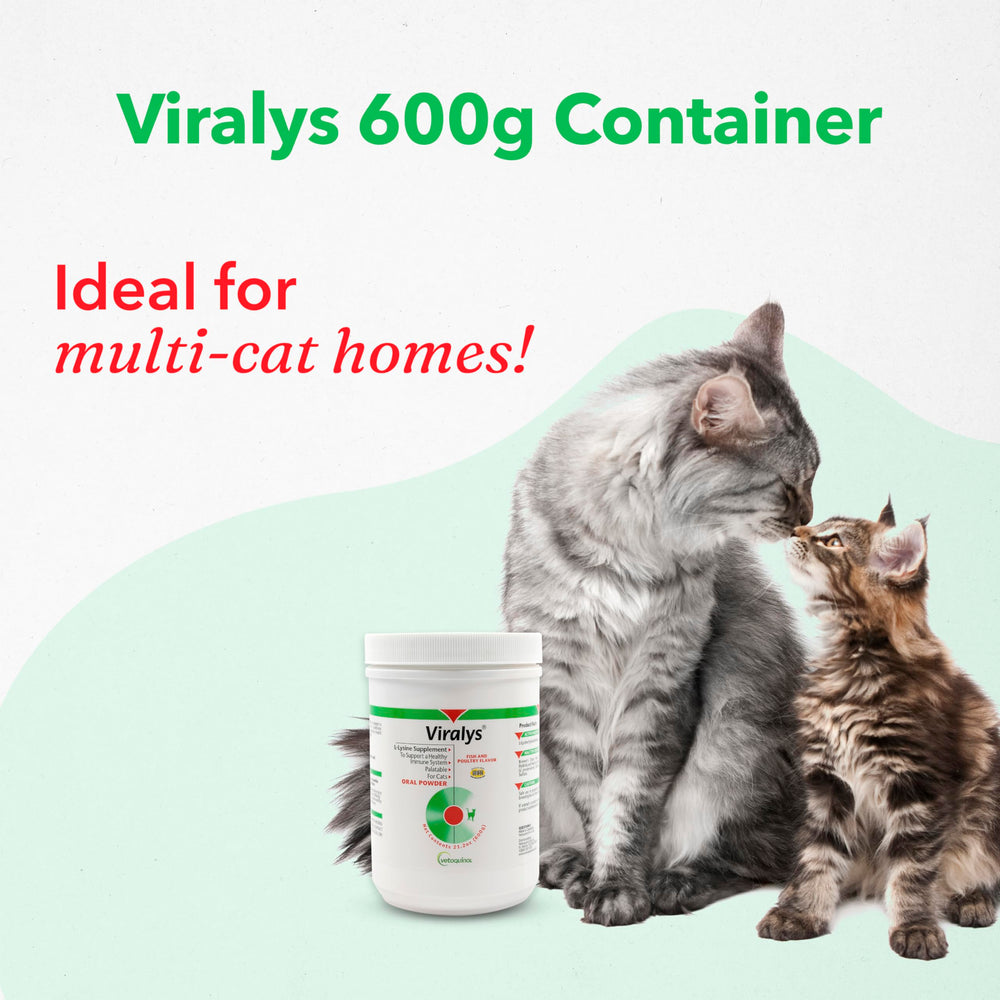 Format 600 grammes Viralys, pratique à stocker et doser lors des repas.