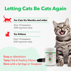 Poudre Lysine Viralys, soutien potentiel pour la santé oculaire des chats et chatons.