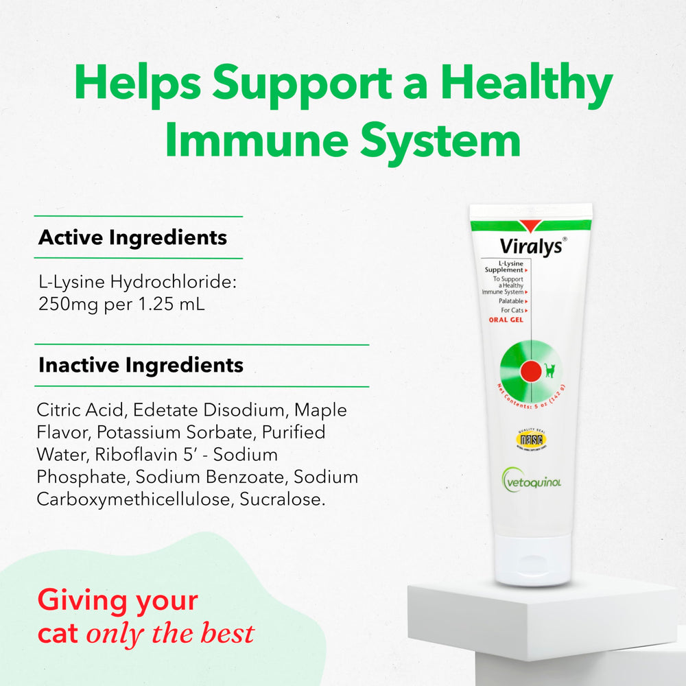 Vetoquinol Viralys, seringue d’application lysine, dose recommandée pour chats et chatons