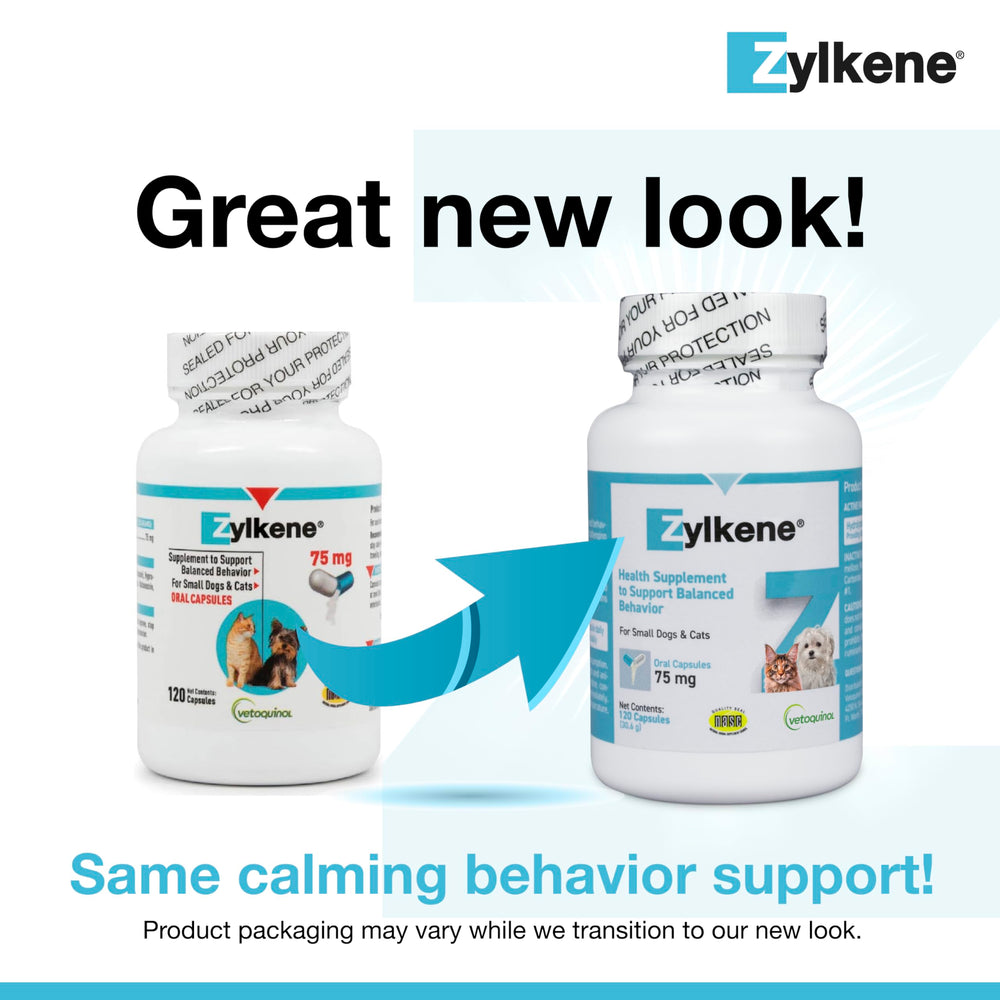 Capsule Zylkene prête à être mélangée dans l’alimentation