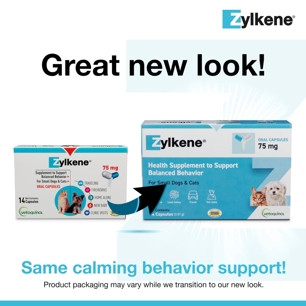 Capsule Zylkene ouverte dans l'aliment pour chien ou chat, administration facile.