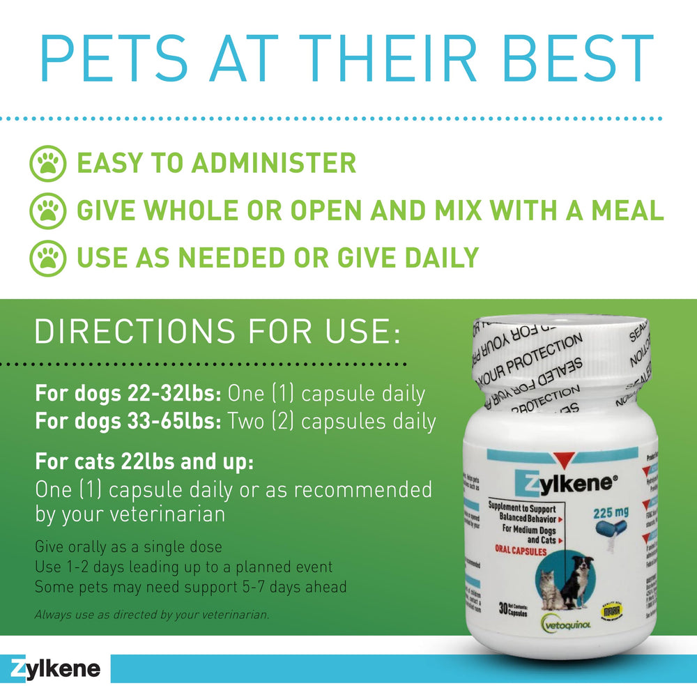 Emballage compact Zylkene, pratique pour la pharmacie du chien.