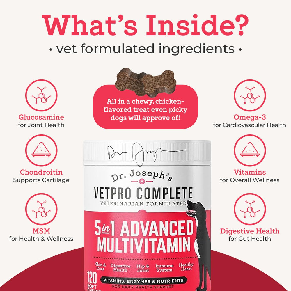 VetPro Complete: probiotiques pour digestion équilibrée du chien.
