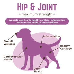 Glucosamine et chondroïtine VetPro Complete avec MSM pour le soutien des articulations.