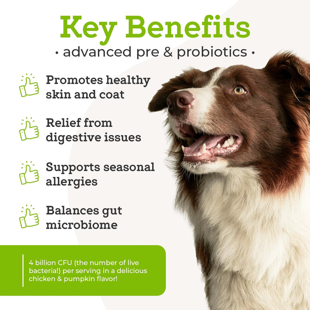 Poudre probiotiques VetPro Complete avec cuillère doseuse prête à saupoudrer sur la nourriture