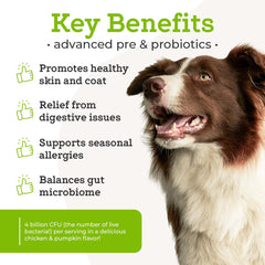 Poudre probiotiques VetPro Complete avec cuillère doseuse prête à saupoudrer sur la nourriture