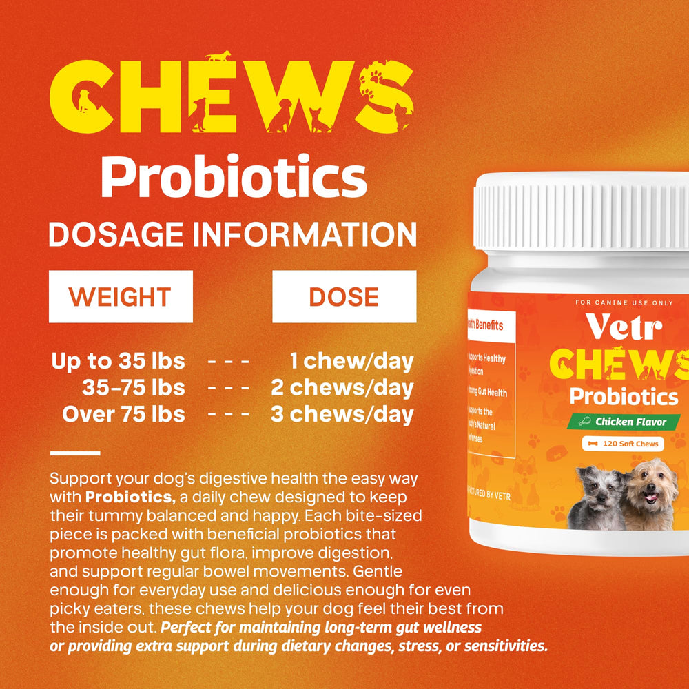 Utilisation quotidienne Vetr probiotiques pour chien, dose recommandée.