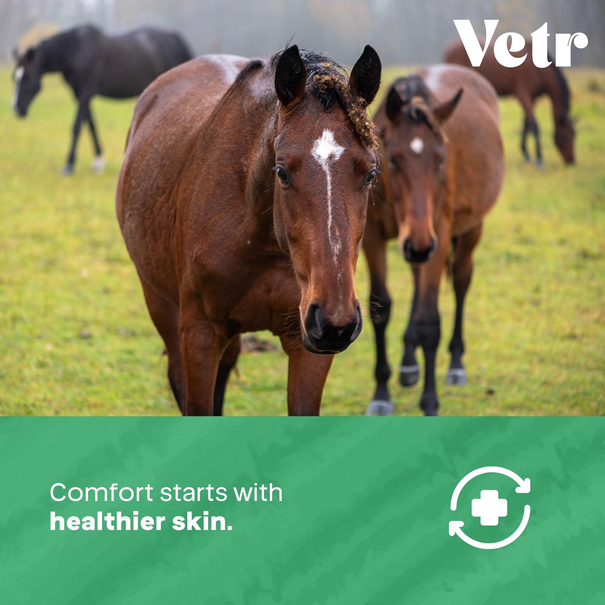 Fabrication veterinaire americaine de Vetr Skin Relief et normes GMP