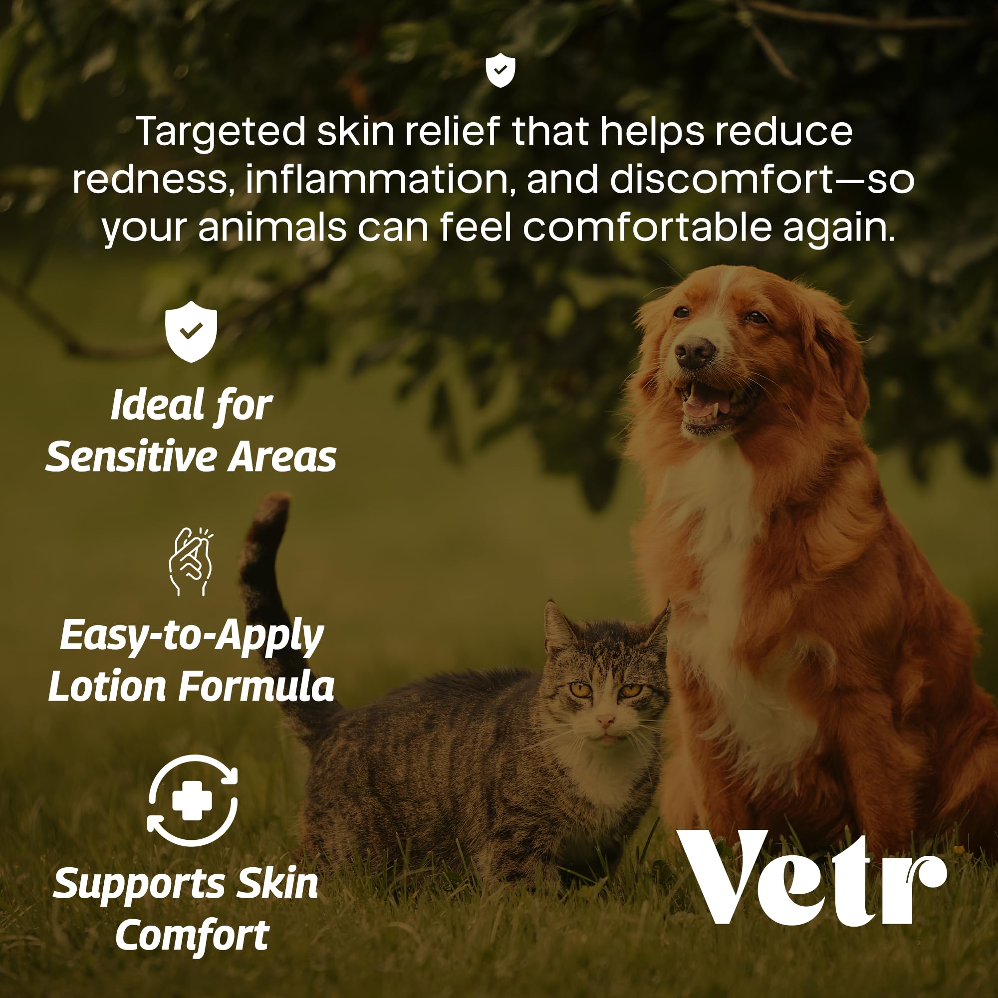 Piqures-insectes-chien avec Vetr Skin Relief et irritations mineures