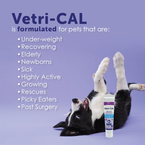 Goût malt recherché par les animaux, Vetri-CAL Gel appétit.