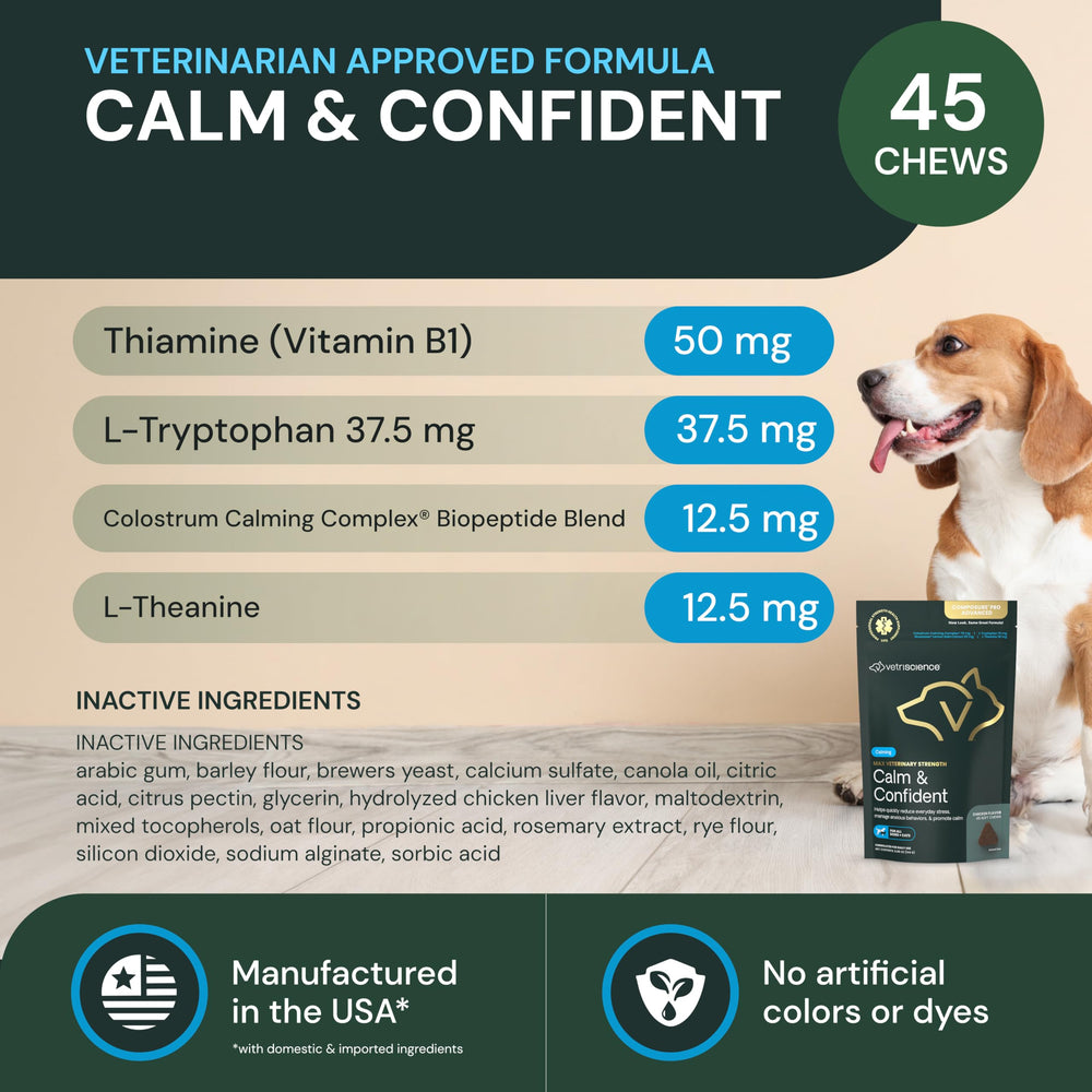 Chat détendu après VetriScience Calm & Confident dans le salon.