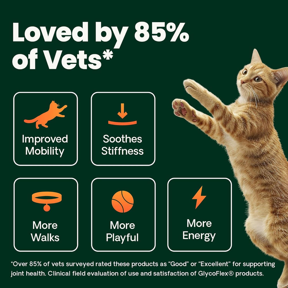 Chondroïtine VetriScience pour articulation et cartilage du chat.