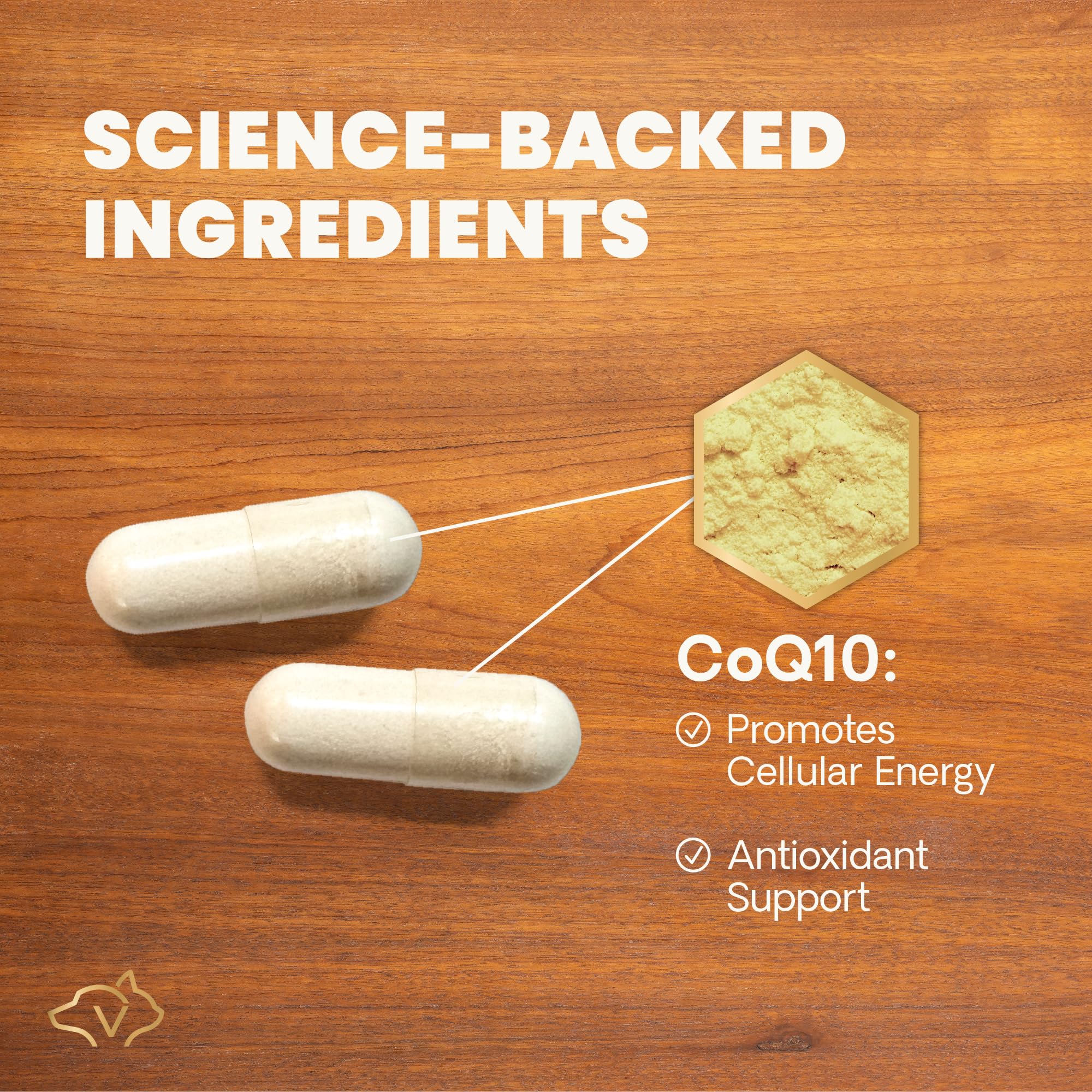 VetriScience Coenzyme Q10, capsules, soutien cardio-vasculaire et gencives saines.