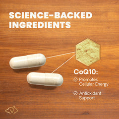 VetriScience Coenzyme Q10, capsules, soutien cardio-vasculaire et gencives saines.