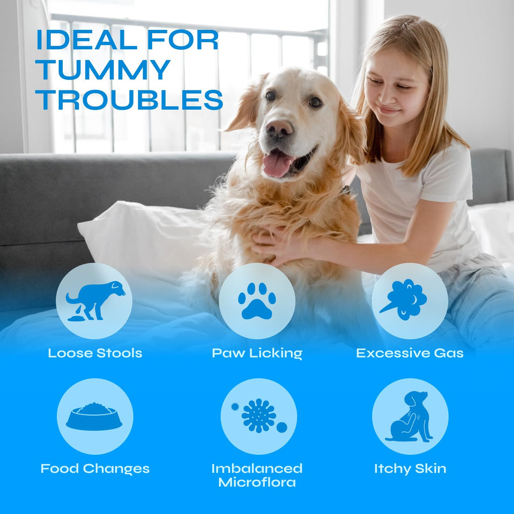 Vetrica Probiotiques Chien Poudre Citrouille Fibre: fibre naturelle pour le confort intestinal