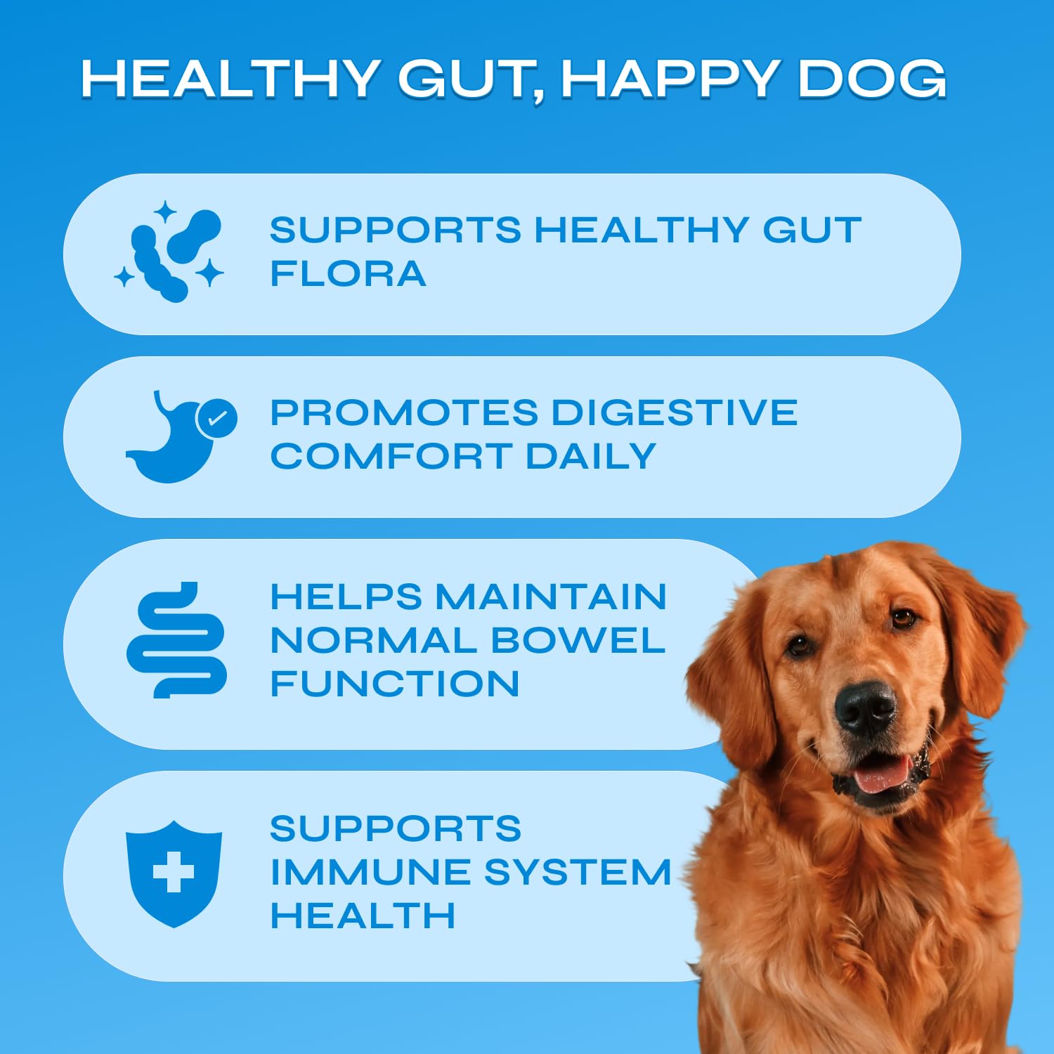 Vetrica Probiotiques Chien Prébiotiques Enzymes: améliore l'absorption des nutriments au quotidien