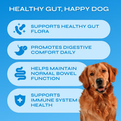 Vetrica Probiotiques Chien Prébiotiques Enzymes: améliore l'absorption des nutriments au quotidien