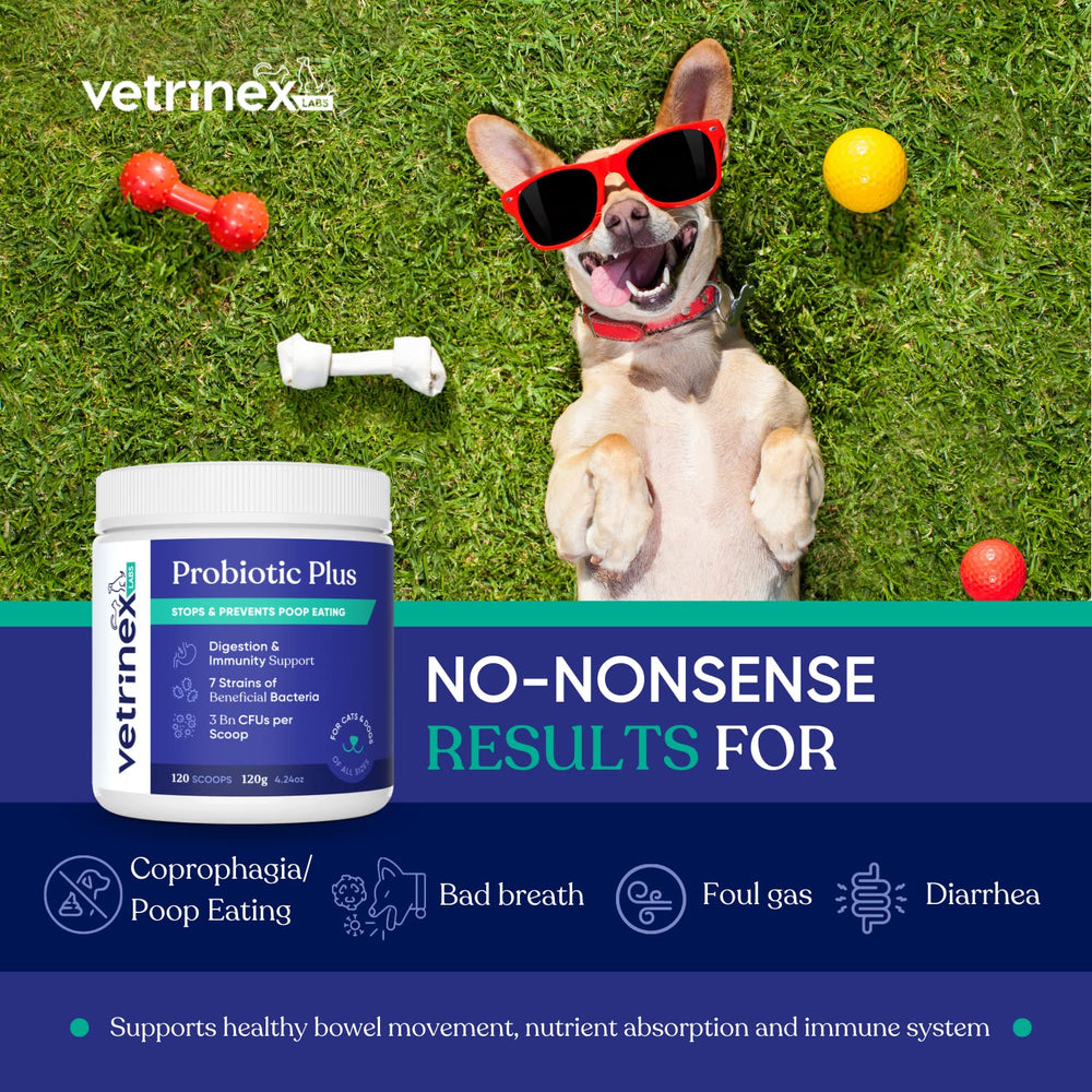 Vetrinex Labs Dose Cuillère Poudre: administration facile pour accompagner les repas