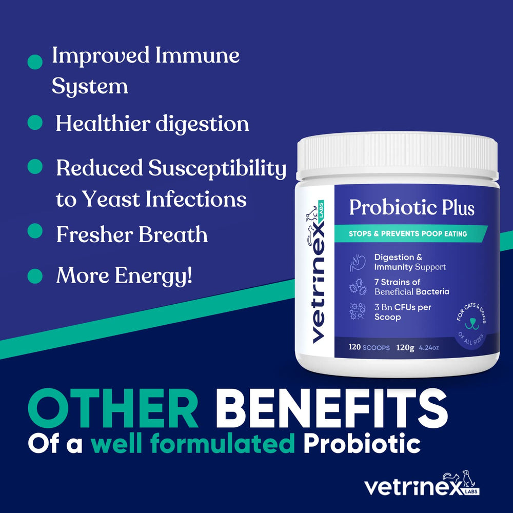Vetrinex Labs Enzymes Prebiotiques Postbiotiques: soutien digestif grâce à une formule complète