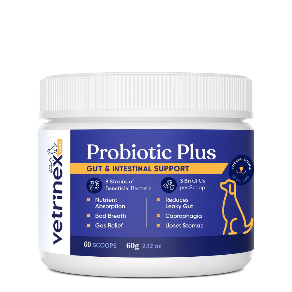 Vetrinex Labs Probiotique — bouteille facile à utiliser pour chiens et chats.