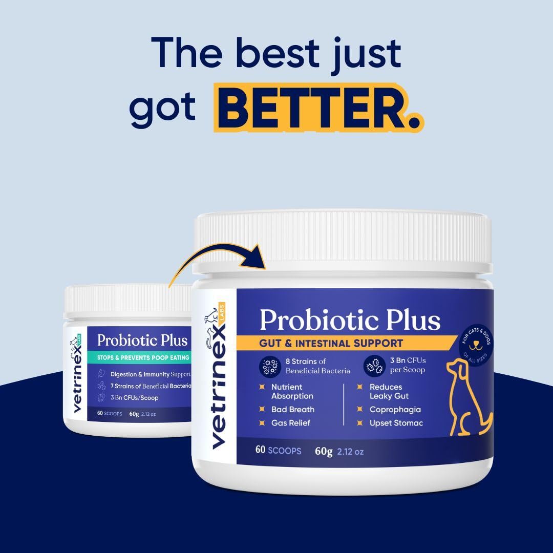 Vetrinex Labs Probiotique — doseur pratique pour doser le complément.