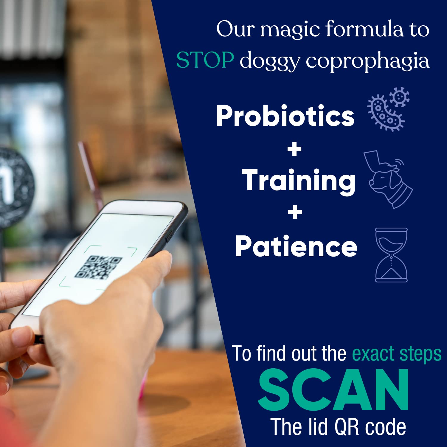 Vetrinex Labs Probiotique — utilisation quotidienne simple pour la santé digestive.