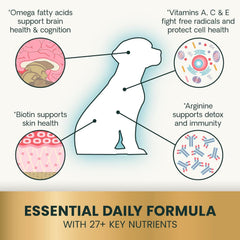 Omega-3 et Omega-6 dans VetriScience 27+ Active Health pour articulations et cerveau.