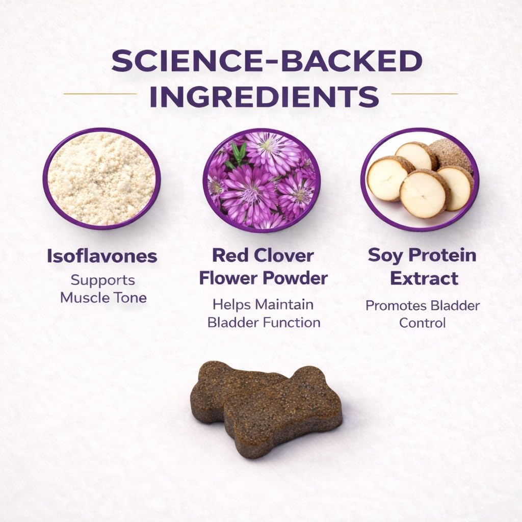 VetriScience Bladder Health, chien senior bénéficiant d'un soutien quotidien