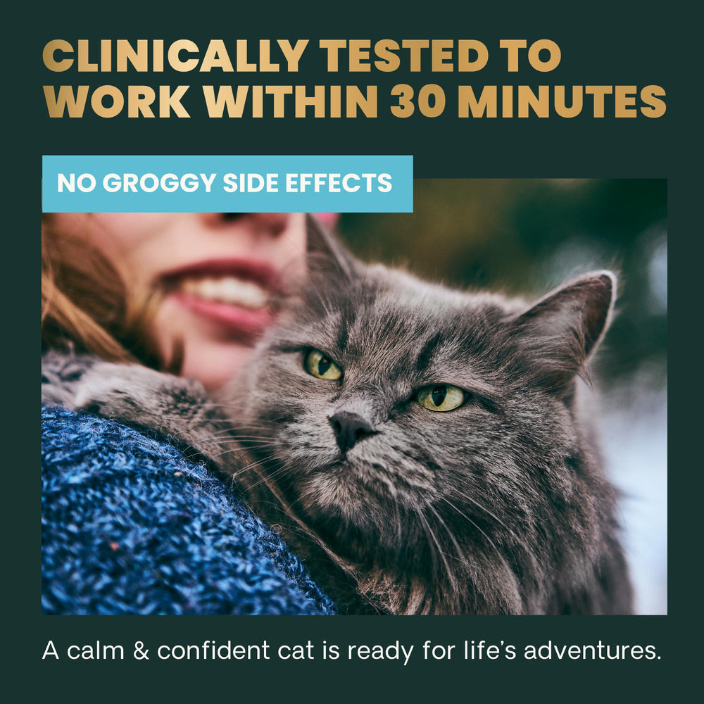 VetriScience Calm & Confident – certification NASC et tests indépendants garantissant sécurité