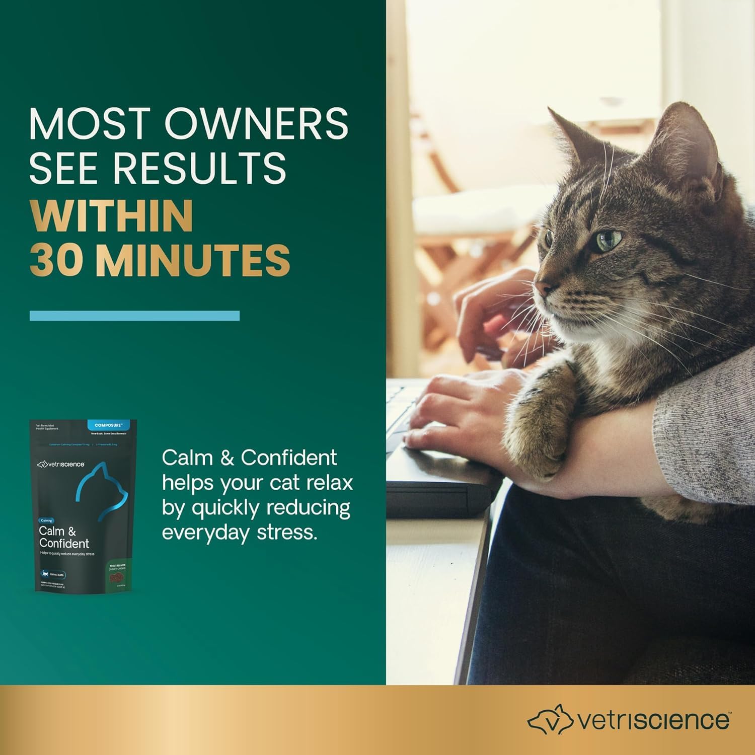 Chat calme après administration, VetriScience Calm & Confident avant la visite chez le vétérinaire.