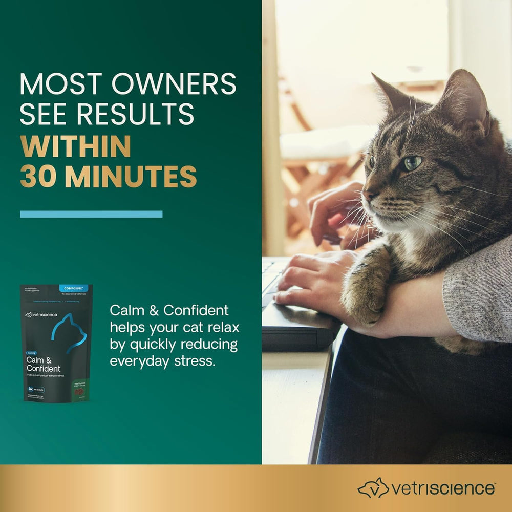 Chat calme après administration, VetriScience Calm & Confident avant la visite chez le vétérinaire.