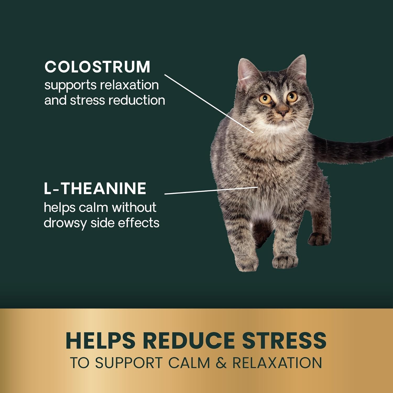 Goût poulet-truite apprécié par le chat, VetriScience Calm & Confident.